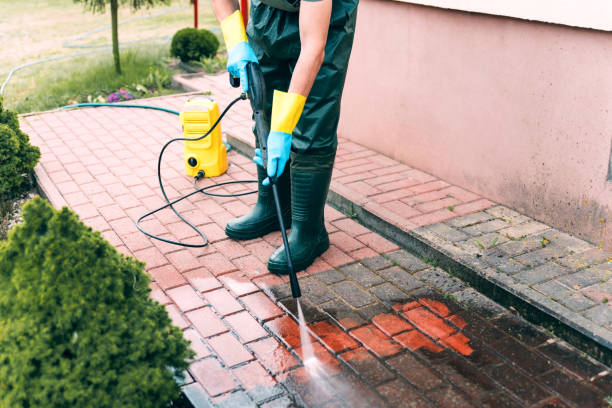 Best Local Pressure Washing Services  in Rosedale, MS