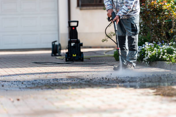 Best Best Pressure Washing Companies  in Rosedale, MS