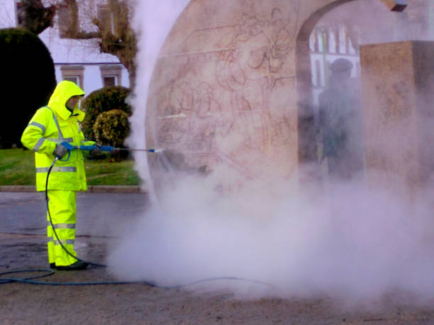Best Roof Pressure Washing  in Rosedale, MS
