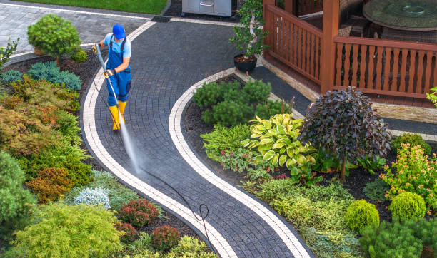 Best Affordable Power Washing  in Rosedale, MS